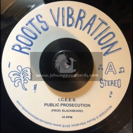 Roots Vibration-7"-Public Prosecution / I.C.E.E.S + Version / Ring Craft Posse