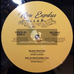 New Exodus-12"-Black Iration / Kenny Knots + Jah Is Watching You / Rootsamala + Rootskanking / BDF