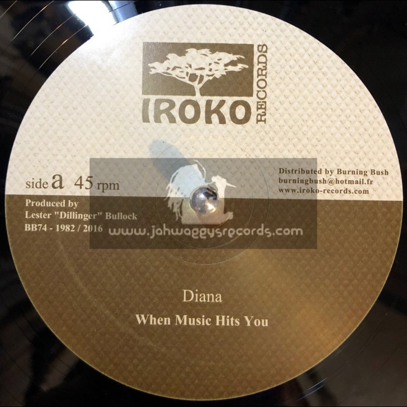 Iroko Records-12"-When The Music Hits You / Diana