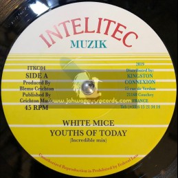 Intelitec-7"-Youths Of Today / White Mice