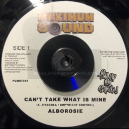Maximum Sounds-7"-Cant Take...