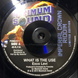 Maximum Sound-7"-What Is...