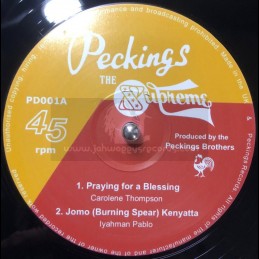 Peckings-12"-Praying For A...