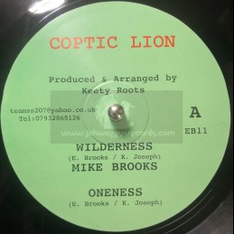 Coptic Lion-10"-Wilderness...
