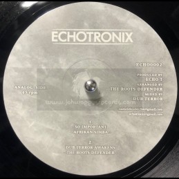 Echotronix-10"-So Important...