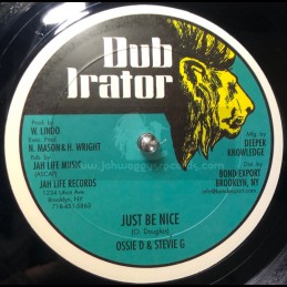 Dub Irator-12"-Just Be Nice...