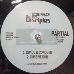 Partial Records-12"-Divide...
