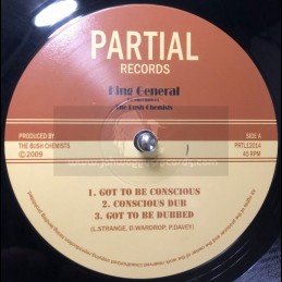 Partial Records-12"-Got to...
