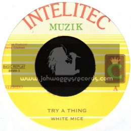 INTELITEC MUZIK 7"-TRY A THING-WHITE MICE
