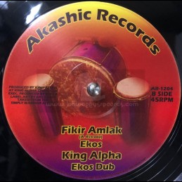Akashic Records-12"-Movin...