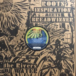 Roots Inspiration-Lp-By The...