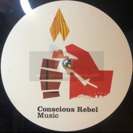 Conscious Rebel...