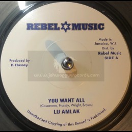 Rebel Music-7"-You Want All...