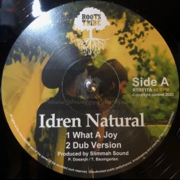 Roots Tribe-12"-What A Joy...