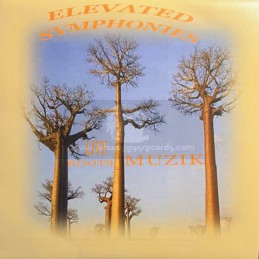 Elevated Symphonies-7"-Its...