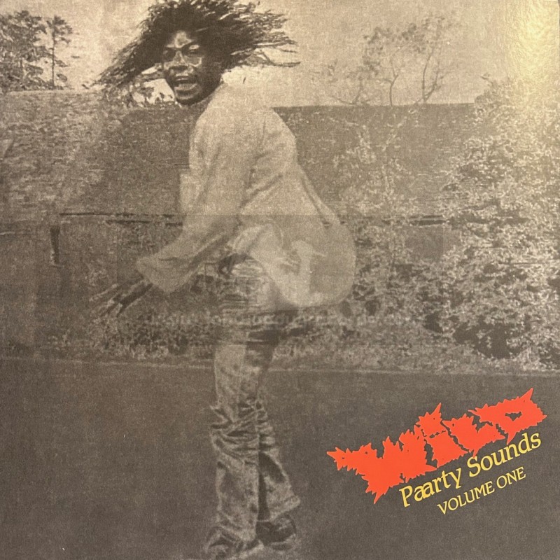 Lantern Editions-Lp-“WILD PAARTY SOUND VOL. I”