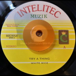 INTELITEC MUZIK 7"-TRY A...