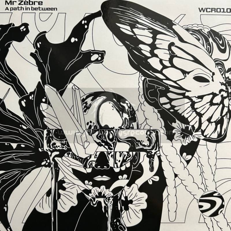 Warrior Charge Records-Lp-A Path In Between / Mr Zebre