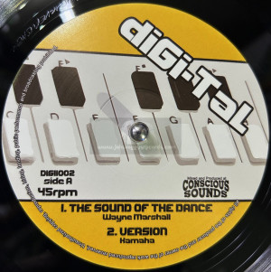 Digi-Tal-10"-The Sound Of The Dance / Wayne Marshall + Basic / Mikey General