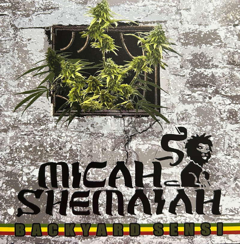 We Generation Music-7"-Backyard Sensi / Micah Shemaiah