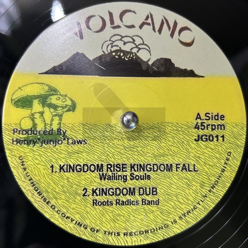 JAH GUIDANCE 10"-KINGDOM RISE + WHAT A FEELING - WAILING SOULS