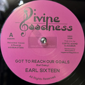 Divine Goodness-12"-Got To Reach Our Goals / Earl Sixteen