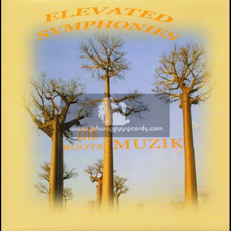 Elevated Symphonies-7"-Its Yours Its Mine / Kiddus I