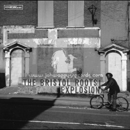 Bristol Archive Records-Lp-The Bristol Roots Explosion / Various Artist