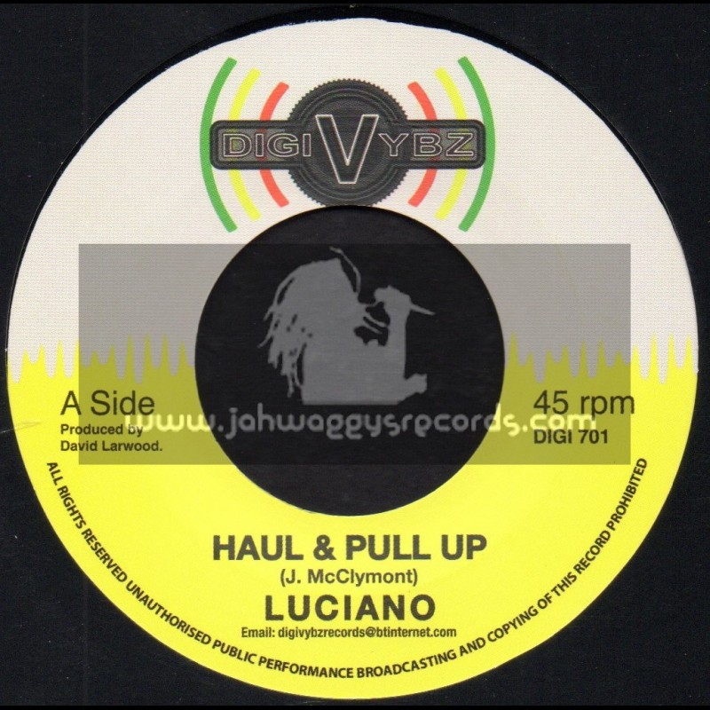 Digi Vybz-7"-Haul And Pull Up / Luciano + Conscience / Jazzwad